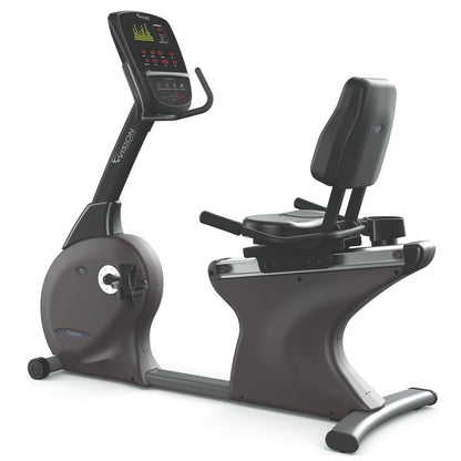 BICICLETA HORIZONTAL PROFESIONAL R60